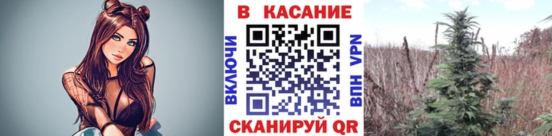 Где купить наркотики Азов Конопля  A PVP  АМФЕТАМИН  Гашиш  БУТИРАТ  Кокаин  МЕФ 