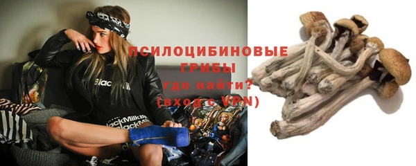 герыч Пестово