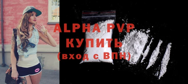 сатива Пересвет