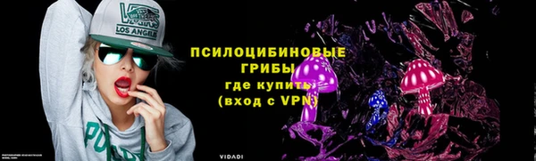 герыч Пестово