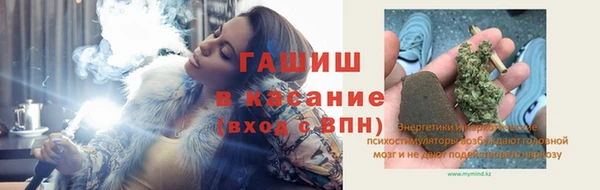 сатива Пересвет