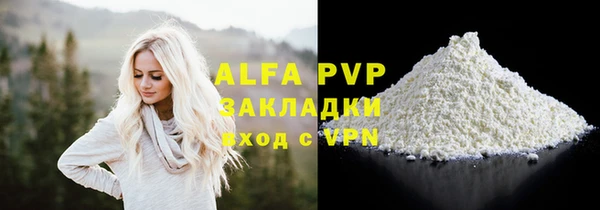 сатива Пересвет