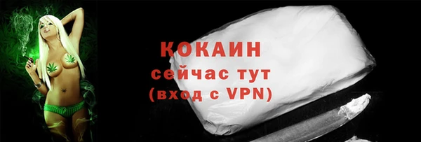 герыч Пестово
