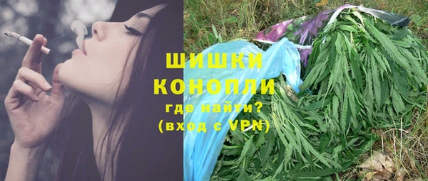сатива Пересвет