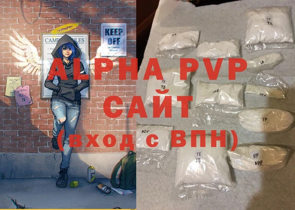 сатива Пересвет