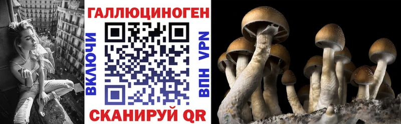 Псилоцибиновые грибы прущие грибы  купить   Азов 