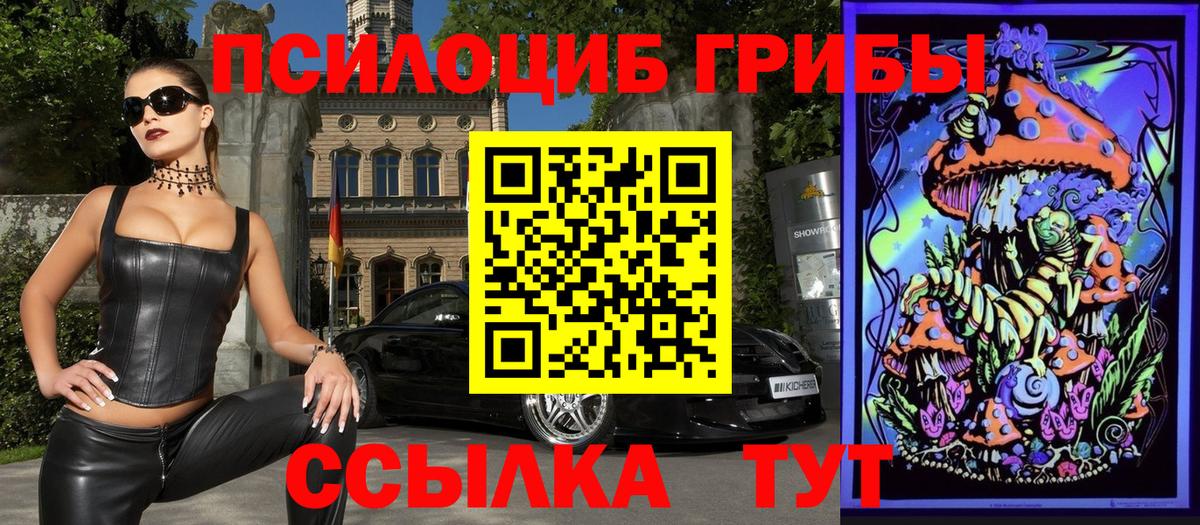 Галлюциногенные грибы Psilocybine cubensis  Азов 