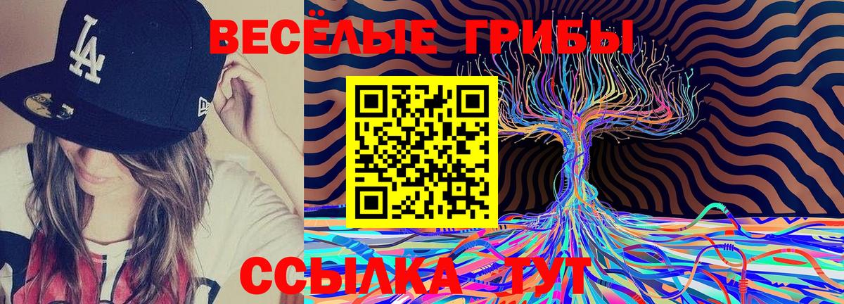 Азов  Галлюциногенные грибы Cubensis  где продают   Вход с VPN 