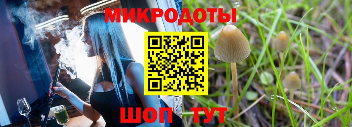 Галлюциногенные грибы Psilocybe Азов
